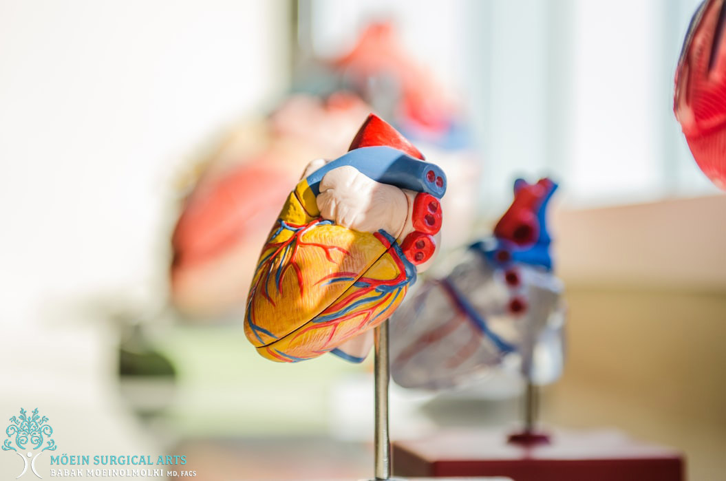 Steady Your Abnormal Heartbeat